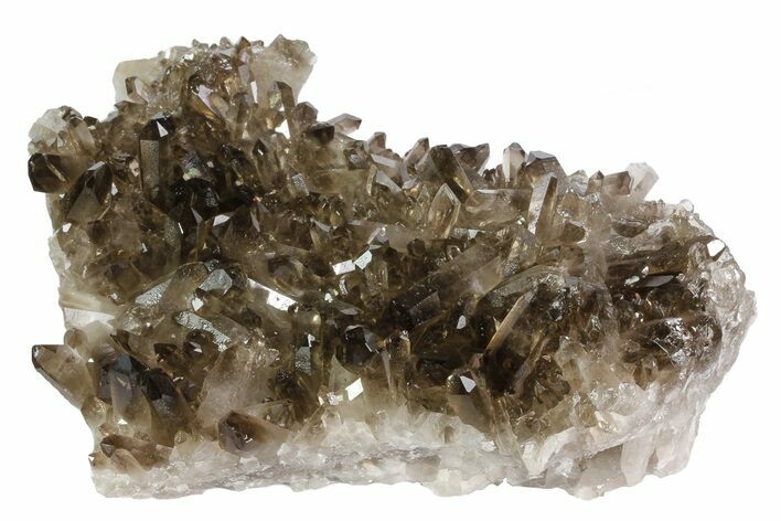 Dark Smoky Quartz Crystal Cluster - Brazil #84855